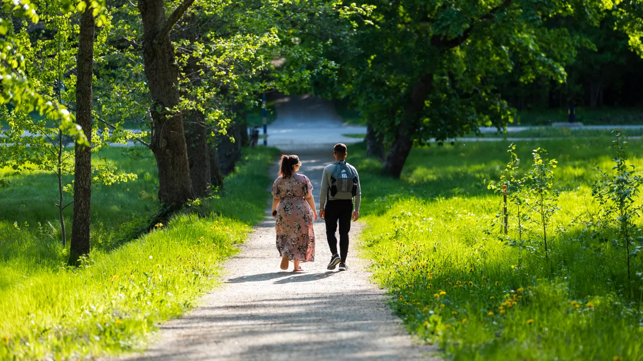 Några personer som går längs en grusväg.
