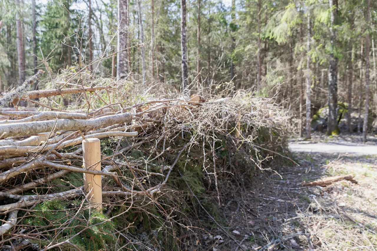 exempel på risgärde, risgärsgård
