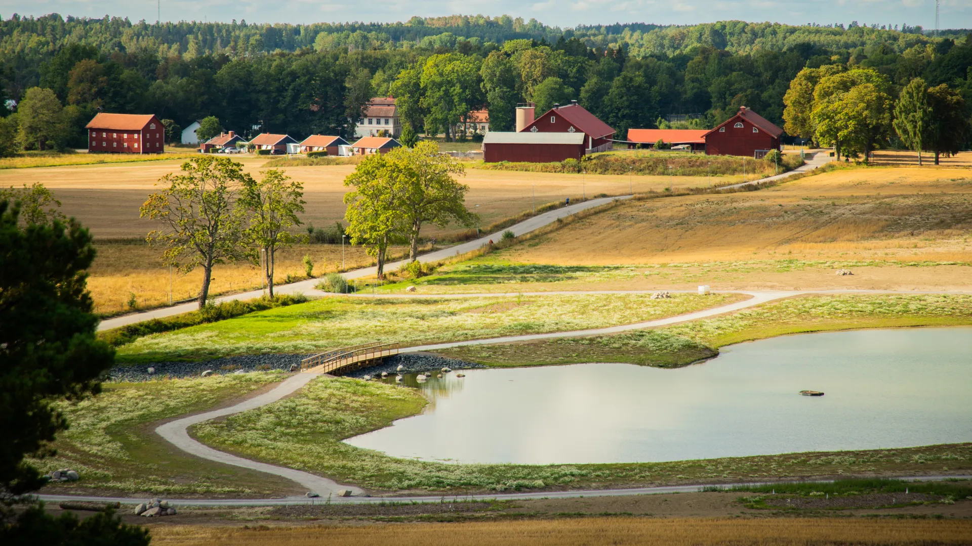 En vacker utsikt över en gård med en damm i förgrunden.