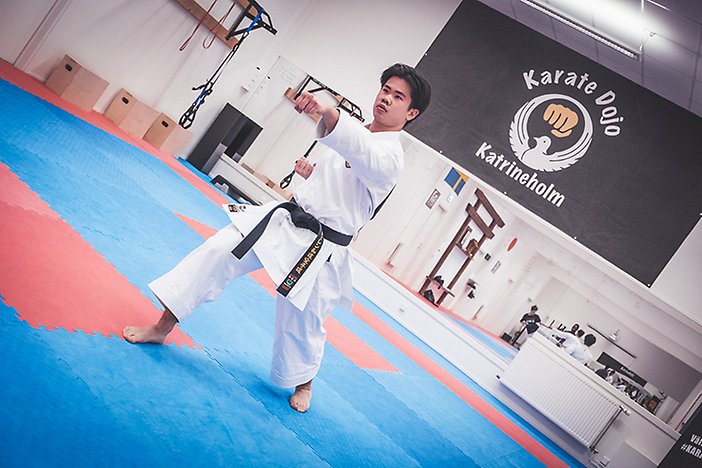 Anthony Vu, Karate Dojo