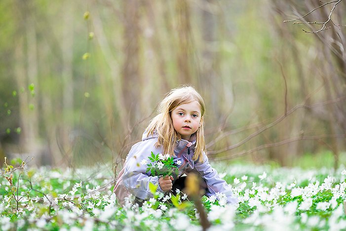 En flicka plockar blommor i en skogsäng.
